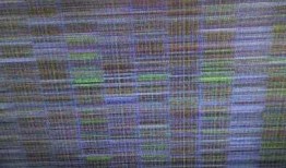 台式电脑显示器屏幕条纹闪？台式电脑屏幕出现线条抖动闪烁？