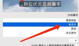 苹果台式电脑显示器字体？苹果显示器字体大小？